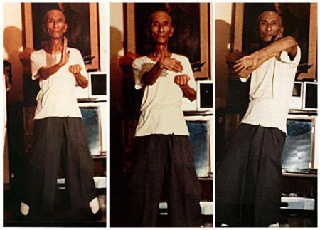 Ip Man ( Pak Sao, Fook Sao, Bong Sao)