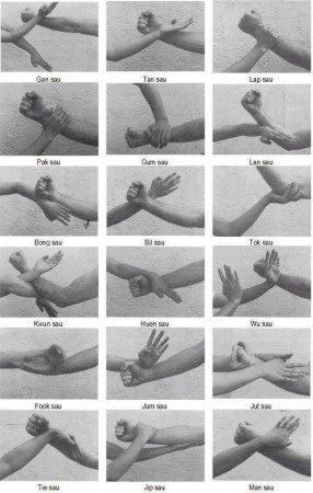 Wing Chun's Basic Arms